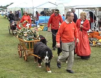 dog_cart